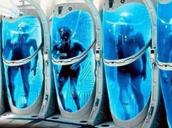 В Воронеже пока не будут замораживать ни людей, ни животных