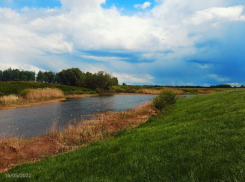 Новая особо охраняемая природная территория с уникальными почвами появилась под Воронежем