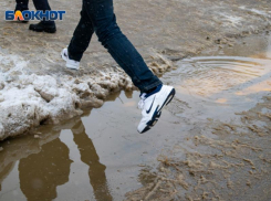 Резкое потепление до +3 прогнозируют синоптики в Воронеже 