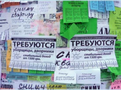 В Воронеже идет борьба с несанкционированной расклейкой объявлений
