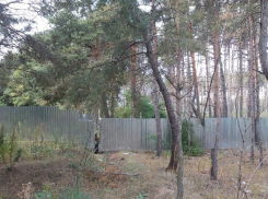 Очередное строительство в Воронеже возмутило правозащитников и местных жителей