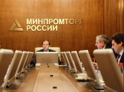 Минпромторг России спросил с мэрии Воронежа за уничтожение ярмарки на Димитрова