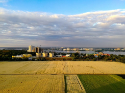 Таинственные круги на полях заметили около воронежского СХИ