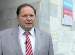 В Общественной палате Воронежа наметилась преемственность