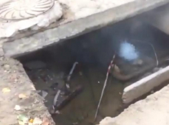 Воронежцы в шоке от «горячего фонтана», который забил у них во дворе