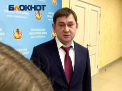 Мошенники от лица Владимира Нетёсова стали общаться с сотрудниками воронежской облдумы
