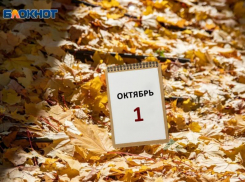 «Это будет последний день радости»: неутешительный прогноз сделали в Воронеже 