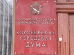 Определился первый кандидат в воронежскую горДуму