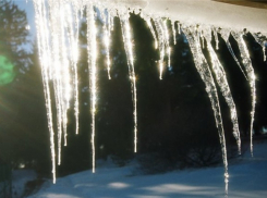 В Воронеже установилась весенняя погода
