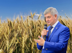 Губернатор Гусев не сказал о серьезных проблемах в уборочной кампании воронежских аграриев 