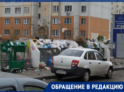 Воронежцы рассказали, чем пахнет Машмет