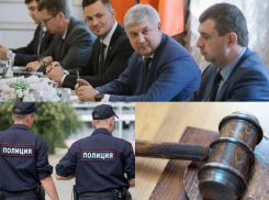 Какой ветви власти воронежцы доверяют больше всего 