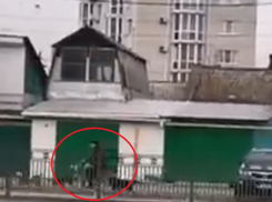 Стая собак устроила лающее преследование велосипедисту в Воронеже