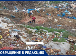 Кровь, кишки и рога: горы останков быков засняли на видео в воронежском поселке
