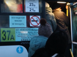 Репортаж из часа пик: «Блокнот» пообщался с воронежцами на остановке, на власти они уже не надеются