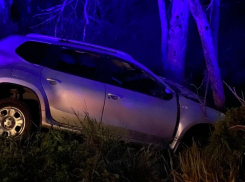 Водитель погиб при столкновении с деревом в Воронежской области