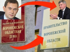 Бред и ахинея! - в воронежском правительстве и облДуме отреагировали на «заготовку Макина»