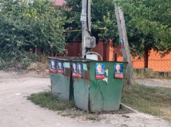 Депутатом и «маршруточным королем» Крутских украсили мусорки в Воронеже