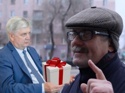 Воронежец хочет, чтобы губернатор Гусев подарил ему жену