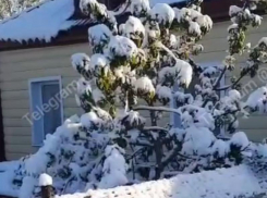 Аномальный природный катаклизм накрыл Воронежскую область в апреле