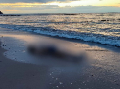 В Балтийском море утонул воронежский пенсионер