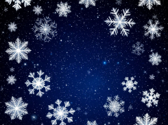 Как в новогодние праздники изменит график работы Воронежский зоопарк