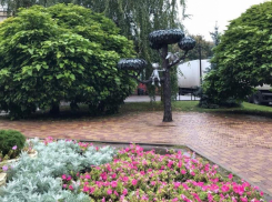 Воронежцев призвали не целовать Котенка с улицы Лизюкова