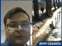 Разлившийся тротуар толкает воронежцев под колеса машин