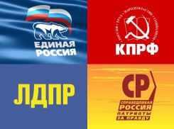 Социологи узнали, какой партии больше всего доверяет часть воронежцев