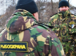 В Воронежской области мужчина, избивший рыбинспектора, может отправиться в тюрьму на 10 лет