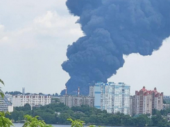Гигантский столб огня и дыма сняли на видео в Воронеже