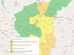 Сразу четыре погодных явления вызвали оранжевый уровень в Воронежской области