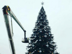 В Воронеже главную елку полностью собрали на площади Ленина