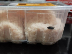 Котлетки с насекомым попались жителям Воронежа