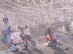 Воронежцы поиздевались над самоизоляцией массовым пикником у водохранилища 