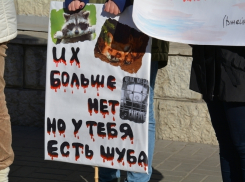 Воронежским модникам напомнили, что «животные – не одежда»