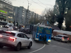 Детей-зацеперов, висящих на троллейбусе, сняли на фото в Воронеже 