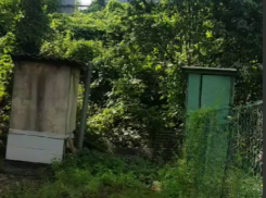 На любой вкус: “Аллею туалетов” показали в Воронеже