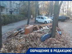 Стихийная помойка из мебели и гнилых листьев возмутила воронежцев 