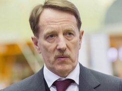 Алексей Гордеев поздравил воронежских аграриев с успехами на полях