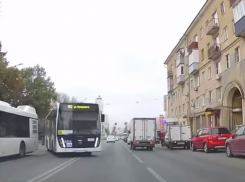 Опасная выходка маршрутчика ударила по его карману в Воронеже 