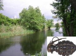 Жительница Воронежской области нырнула в реку и нашла гранату