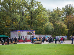 В Воронежском заповеднике пройдет фестиваль «Тропами доверия»