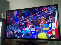 Воронежцы увидели земляков на трибунах Олимпийских игр в Пхёнчхане 