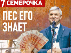 Распространение бесплатной госгазеты «Семерочка» обойдется почти в миллион рублей в Воронеже 