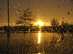 В Воронеж на рабочей неделе придут дожди