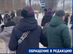 «За что они просят повышения цены проезда?» – о проблемах с популярным автобусом рассказали воронежцы 