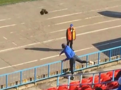 Живого петуха бросили в тренера на матче воронежского «Факела»