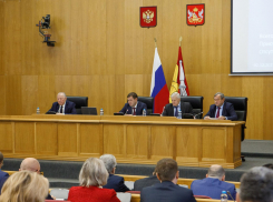 Депутаты Воронежской облдумы выписали себе под Новый год ещё 10 млн рублей