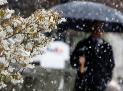 Обильный снегопад и мощный дождь накроют Воронеж в первые дни декабря